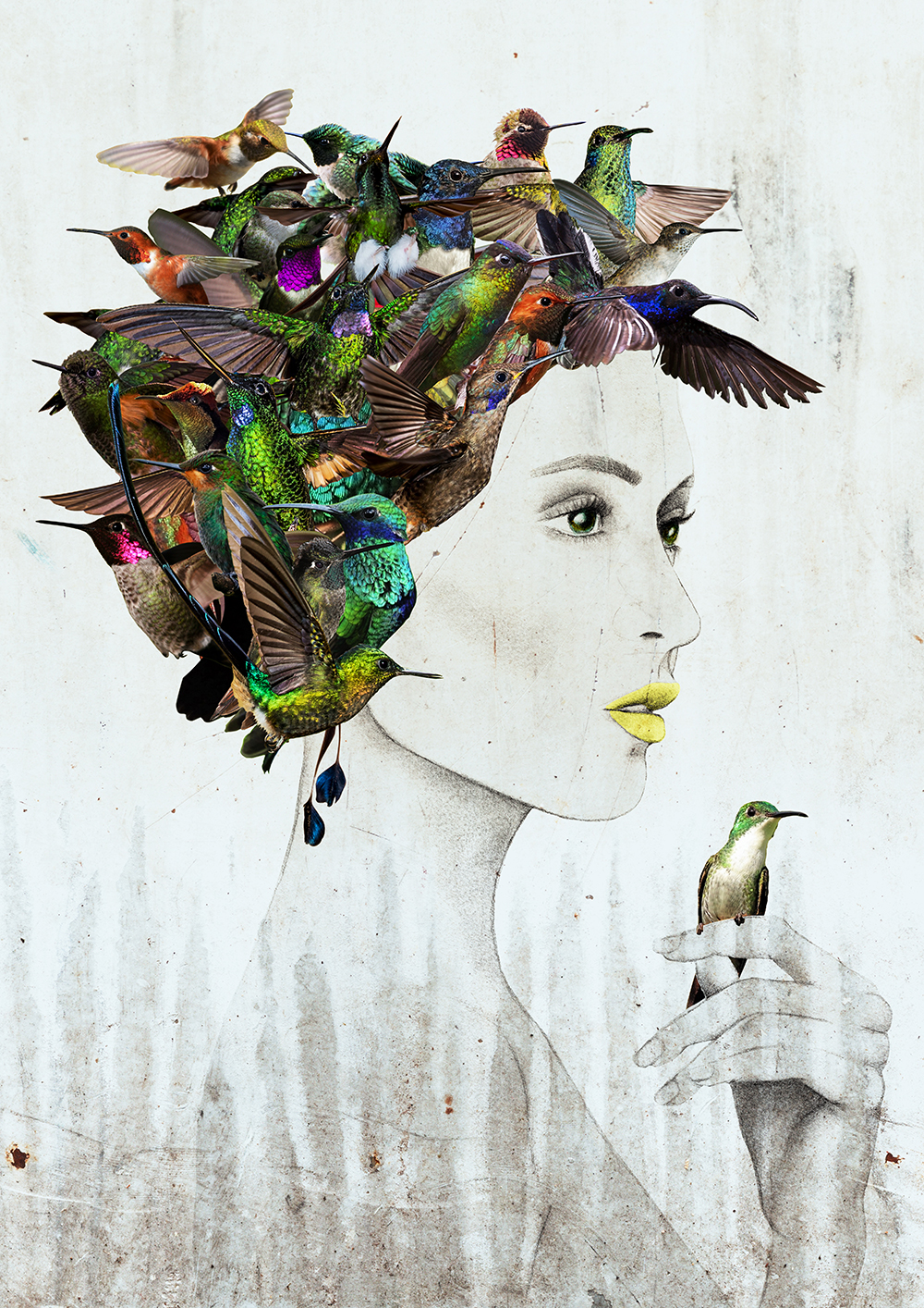 Hummingbird | Ellie Vandoorne