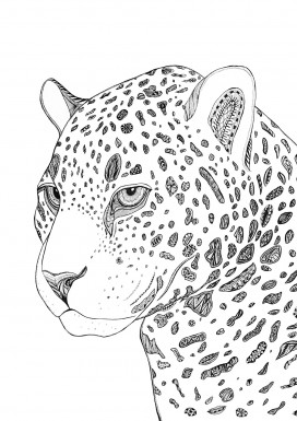 Leopard Limited Edition Print