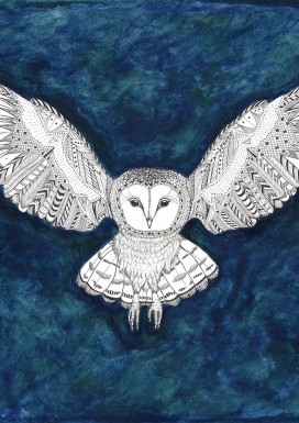 Owl in Flight Limited Edition Print
