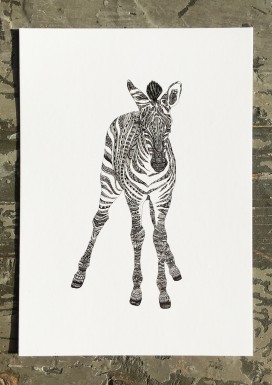 Zebra Postcard