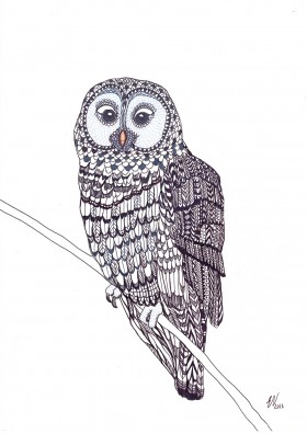 Owl Limited Edition Print